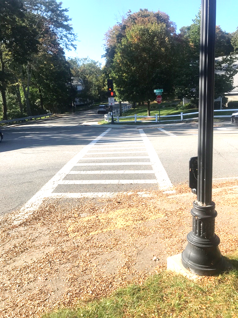Figure 9 - View of North Corner Curb Ramp and Detectable Warning Strip Pairs Figure 9 - View of North Corner Curb Ramp and Detectable Warning Strip Pairs